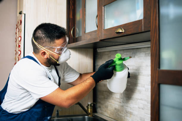 Best Flea Control Services  in Beech Mountain Lakes, PA