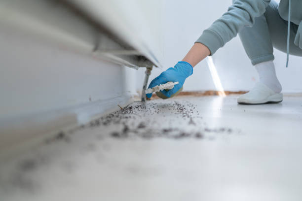 Best Cockroach Control Services  in Beech Mountain Lakes, PA